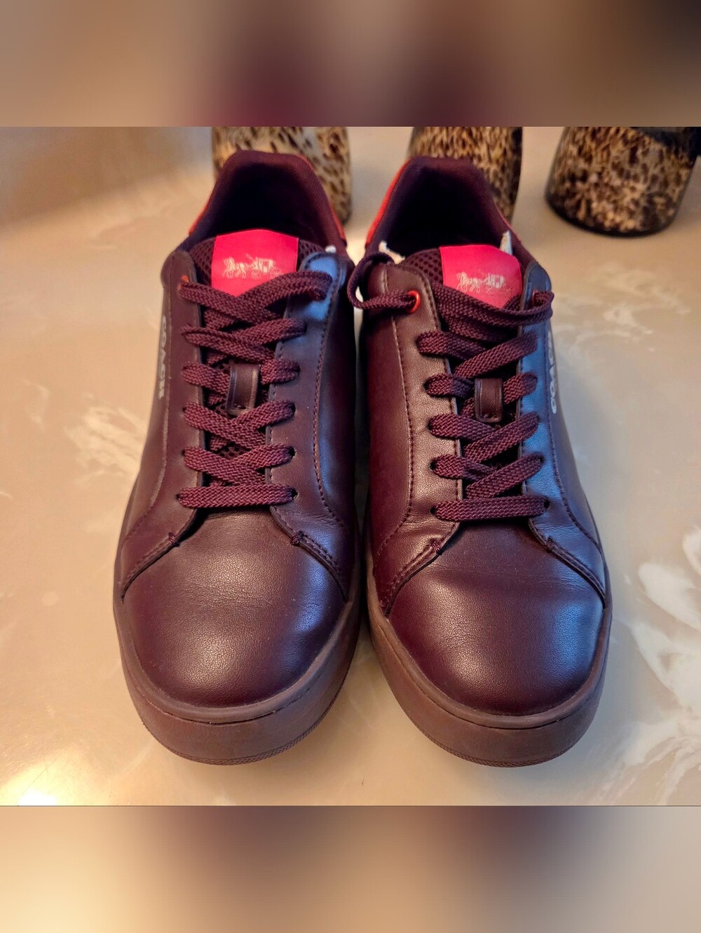 Coach Sneakers Never Worn